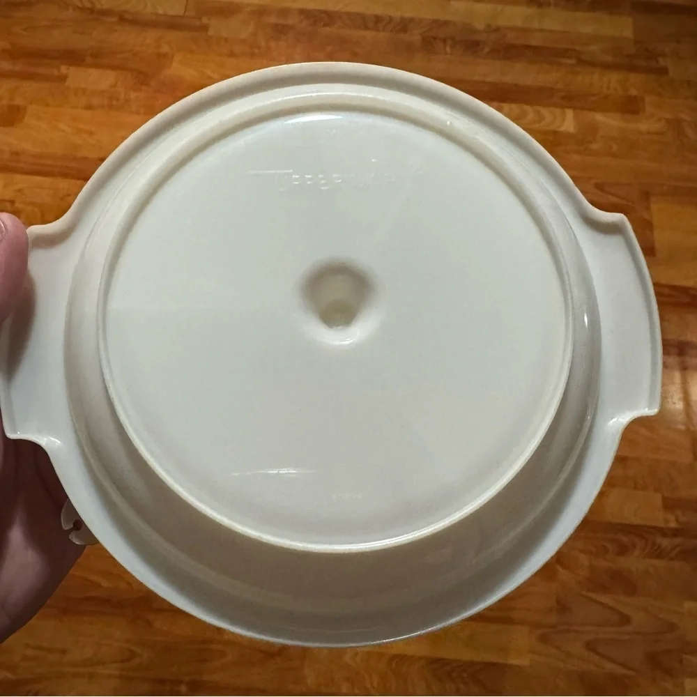 Vintage Tupperware Suzette 3 Section Divided Relish Condiment Tray #608 Complete